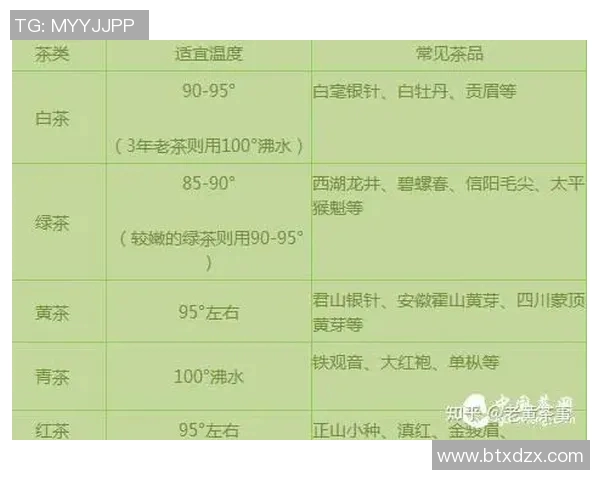 广州羽毛球队实力分析与表现评估：数据背后的故事与启示